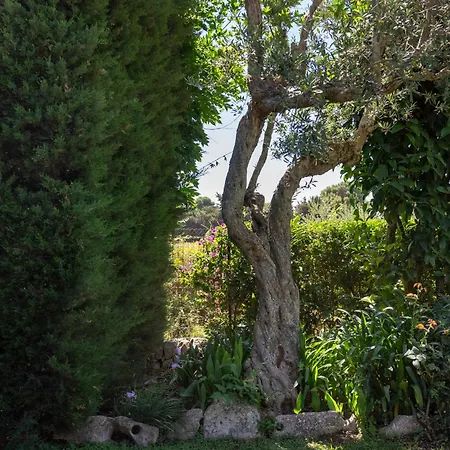 Villa Lisola Nellisola Ragusa